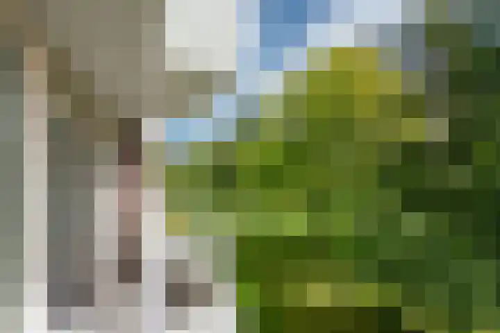 Haverkamp 52 Den Haag thumbnail 17