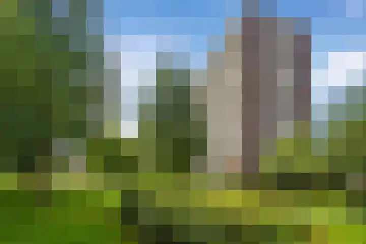 Haverkamp 52 Den Haag thumbnail 5