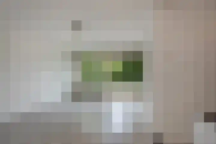 Haverkamp 52 Den Haag thumbnail 8