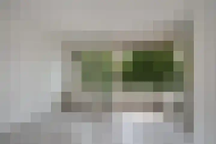 Haverkamp 52 Den Haag thumbnail 9
