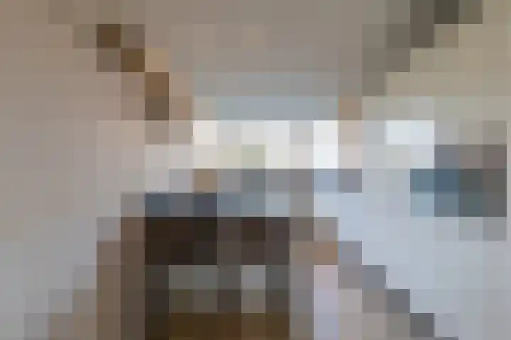 Haverkamp 6 Gendringen thumbnail 14