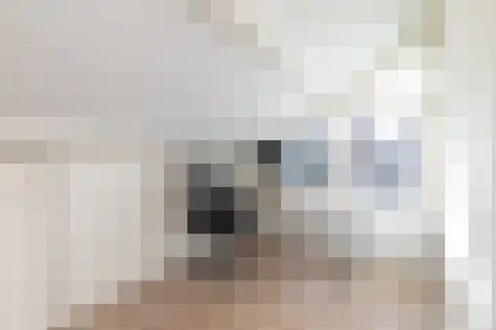 Haverkamp 6 Gendringen thumbnail 33