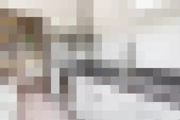Haverkamp 88 Den Haag thumbnail 6
