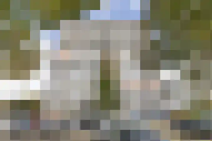Haverkamp 88 Den Haag thumbnail 7