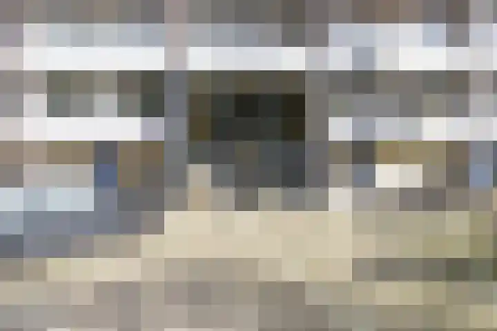 Haverkamp 88 Den Haag thumbnail 9