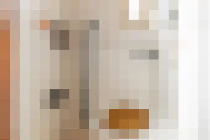 Haverkamp 9 Sloten thumbnail 11