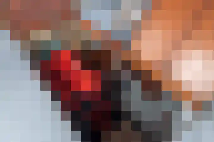 Haverkamp 9 Sloten thumbnail 22