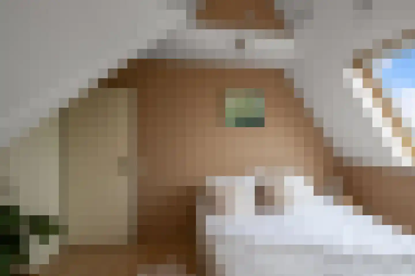 Haverkamplaan 34 Uitgeest thumbnail 46