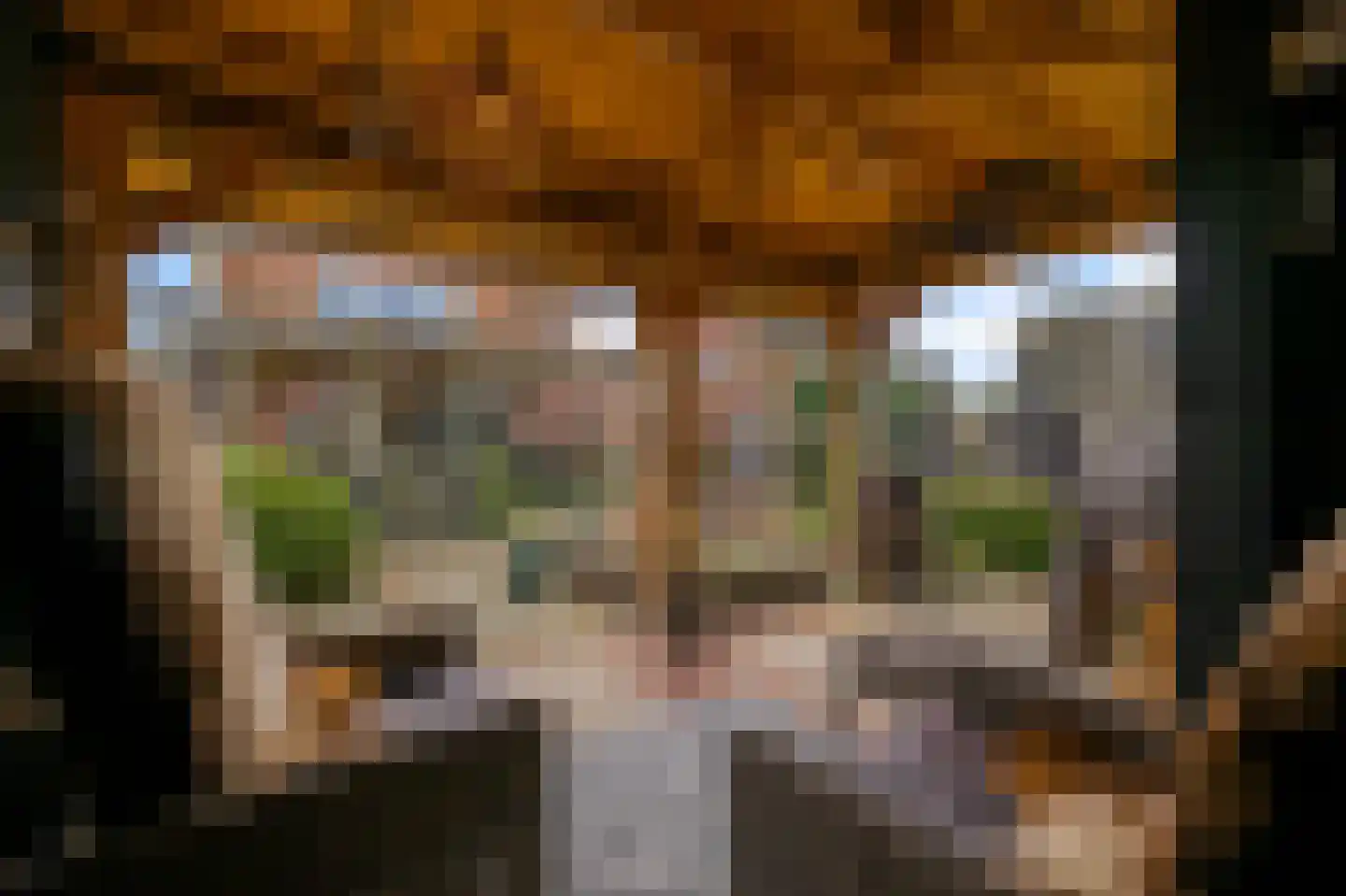 Haverkamplaan 34 Uitgeest thumbnail 64