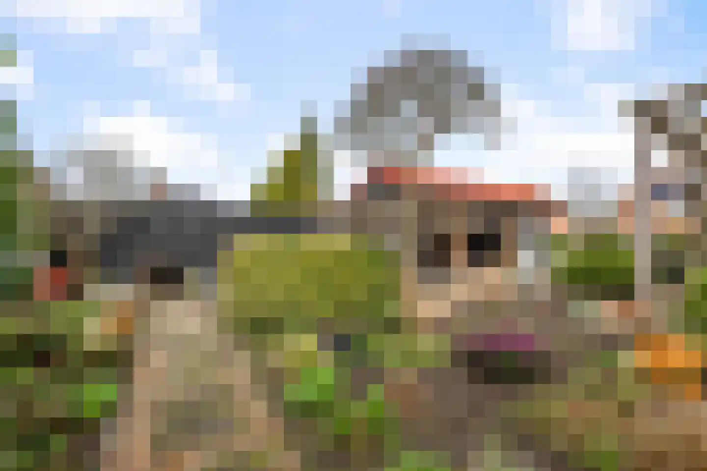 Haverkamplaan 34 Uitgeest thumbnail 66