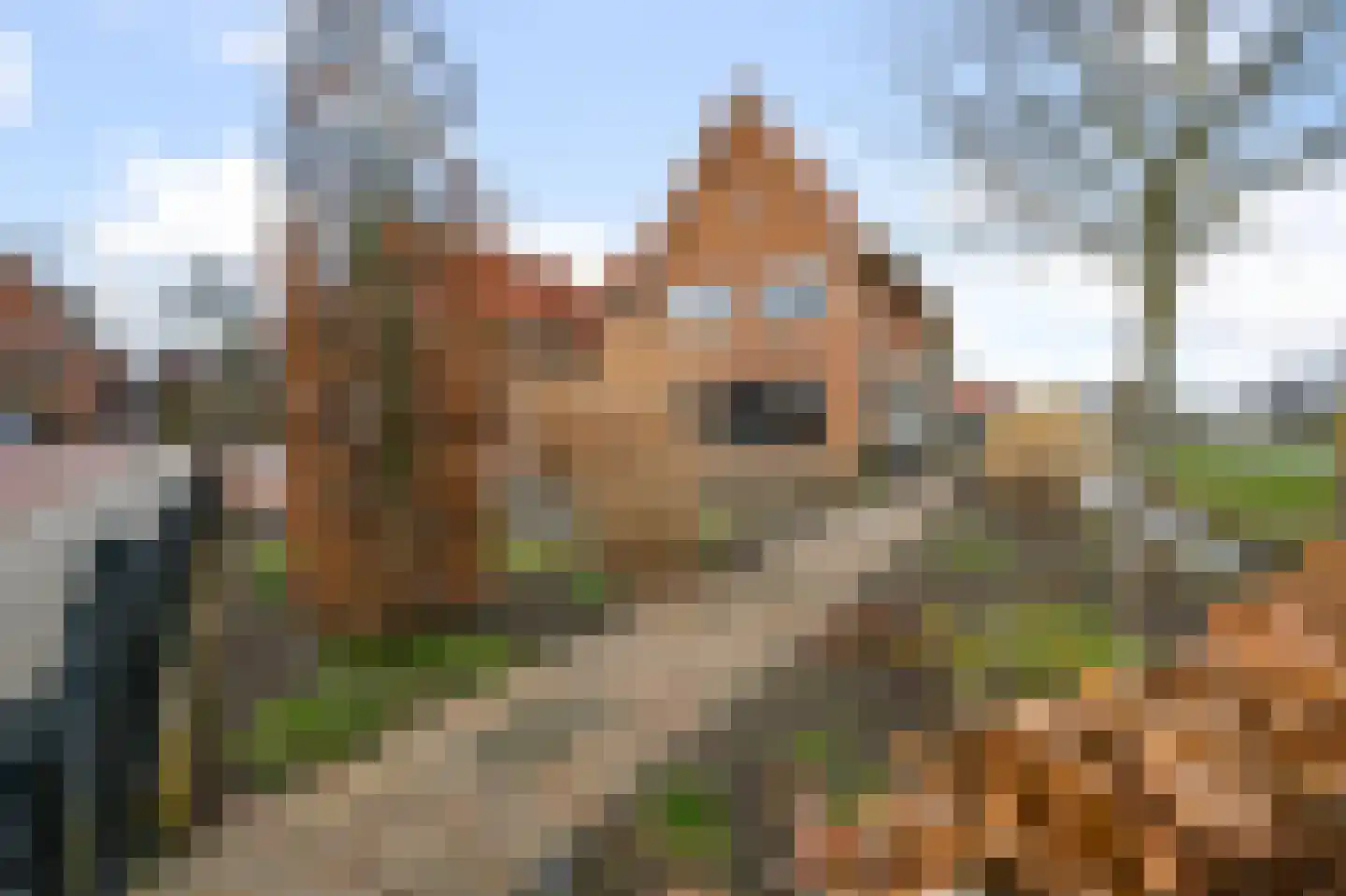 Haverkamplaan 34 Uitgeest thumbnail 73