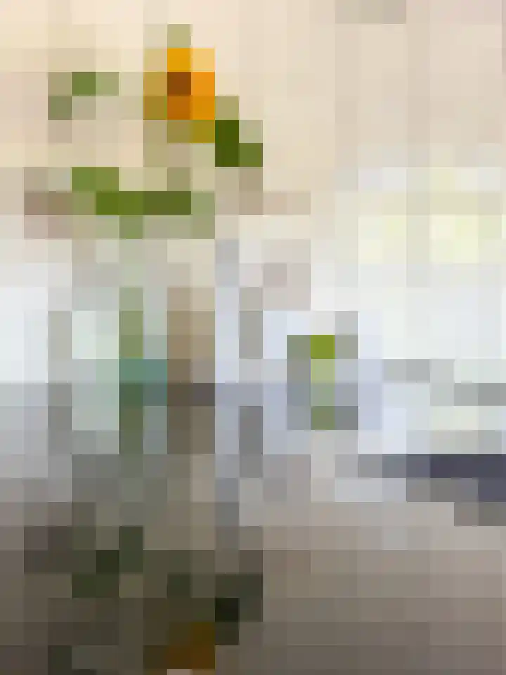 Haverkamplaan 36 Uitgeest thumbnail 13