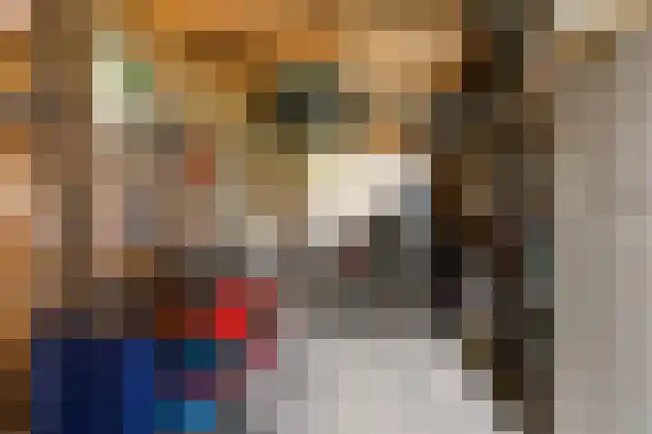 Haverkamplaan 36 Uitgeest thumbnail 15