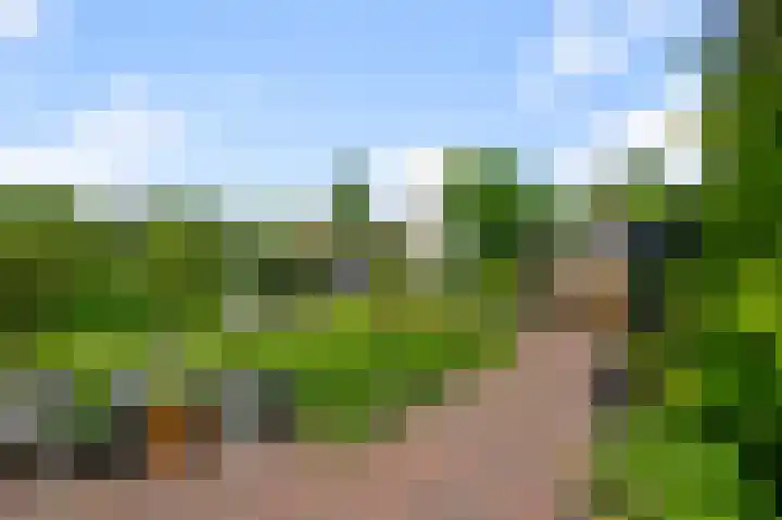 Haverkamplaan 36 Uitgeest thumbnail 19