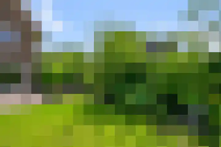 Haverkamplaan 36 Uitgeest thumbnail 22