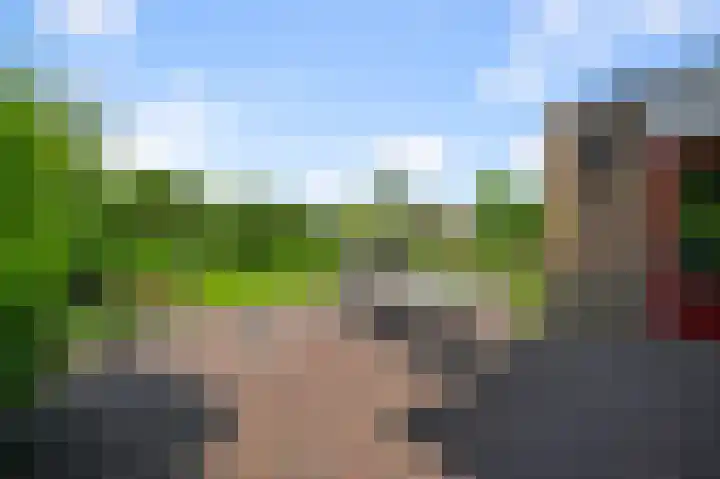 Haverkamplaan 36 Uitgeest thumbnail 23