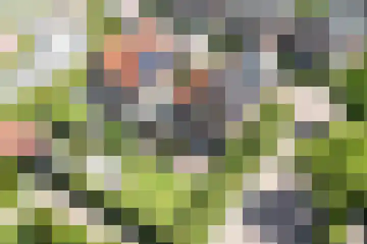 Haverkamplaan 36 Uitgeest thumbnail 50