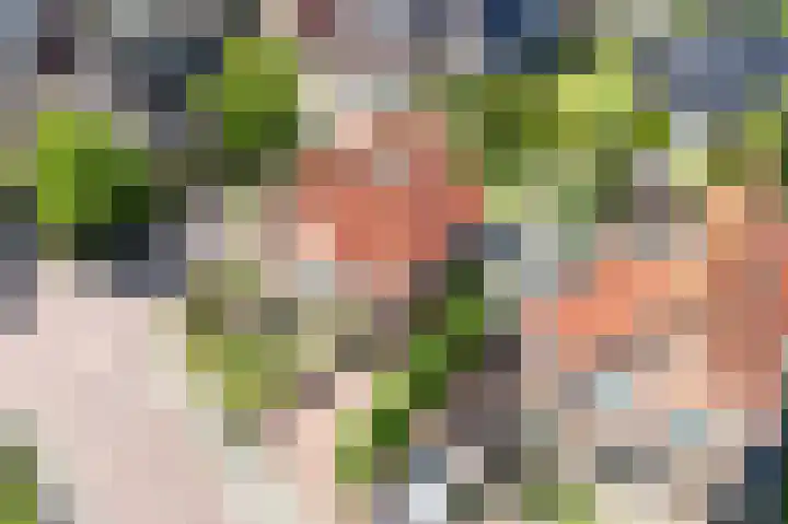 Haverkamplaan 36 Uitgeest thumbnail 51