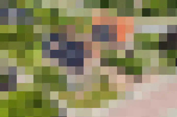 Haverkamplaan 36 Uitgeest thumbnail 52