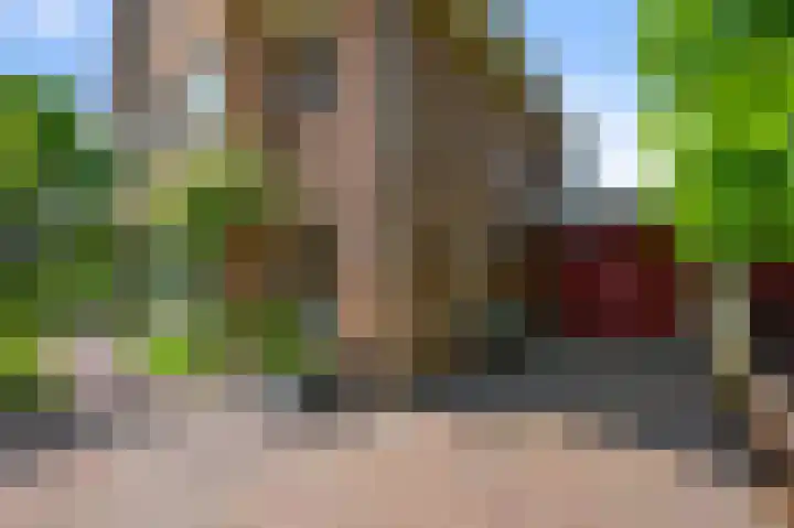 Haverkamplaan 36 Uitgeest thumbnail 54