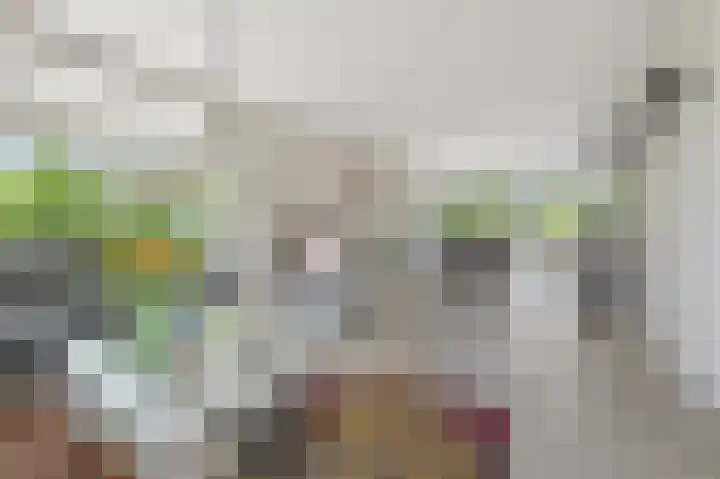 Haverkamplaan 36 Uitgeest thumbnail 6