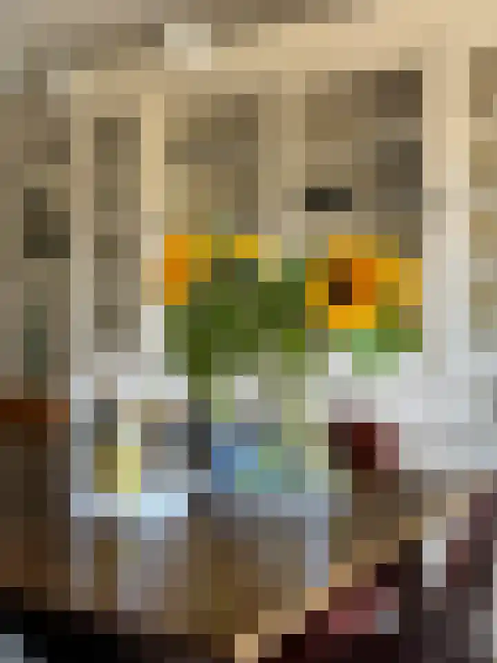 Haverkamplaan 36 Uitgeest thumbnail 8