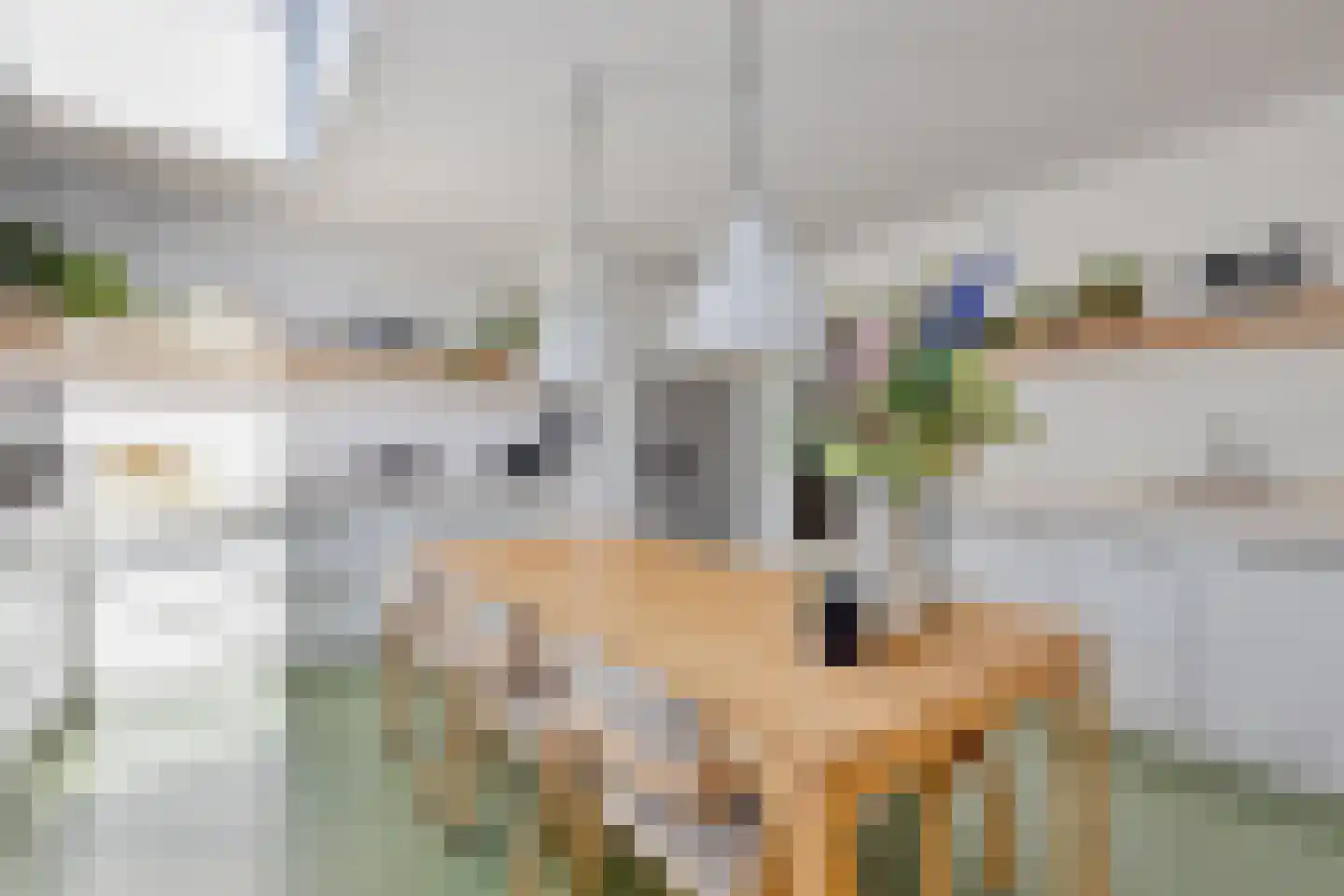Haverkamplaan 40 Uitgeest thumbnail 14
