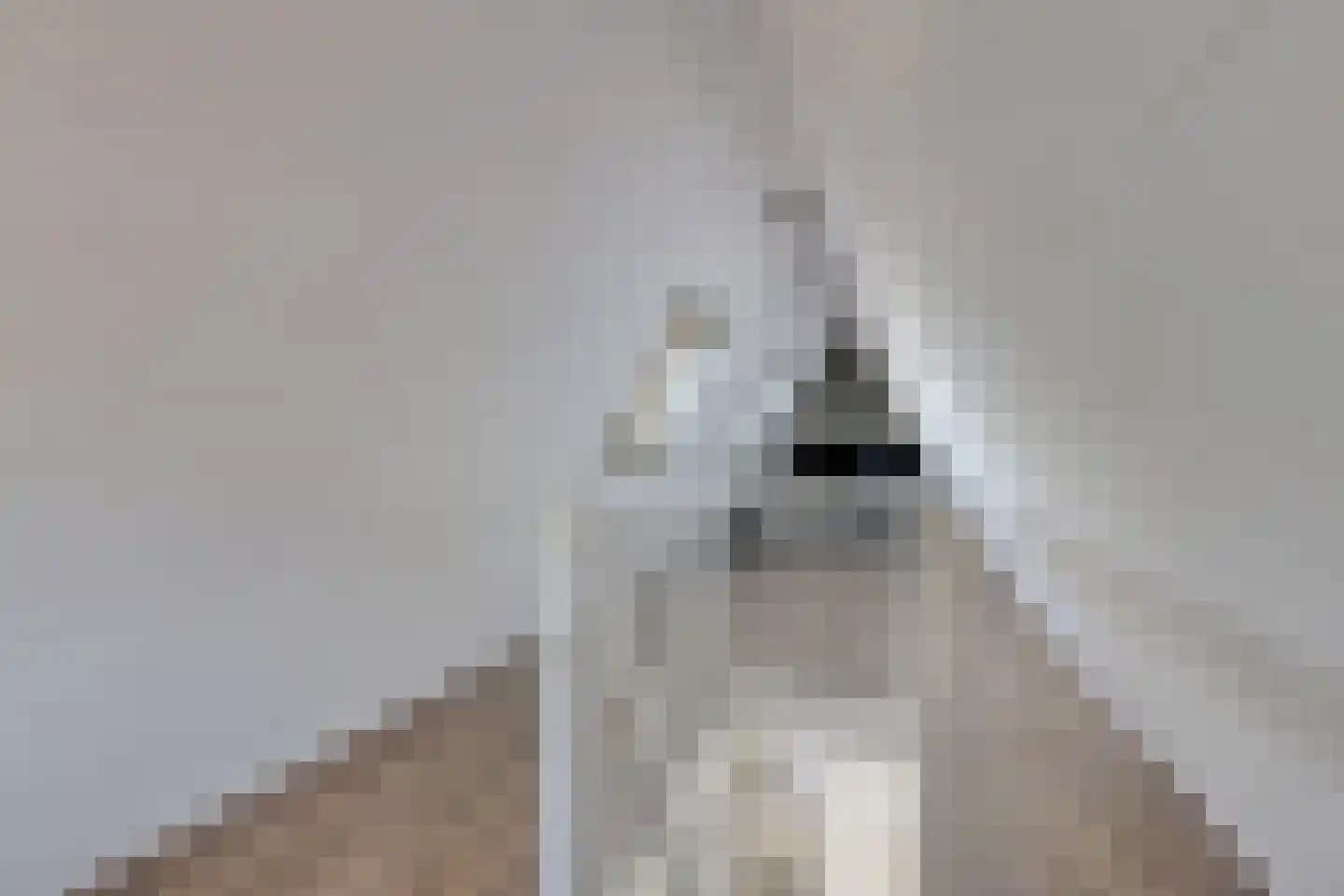 Haverkamplaan 40 Uitgeest thumbnail 31