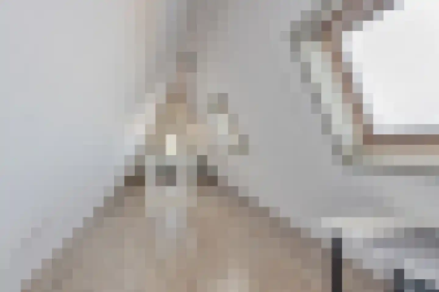 Haverkamplaan 40 Uitgeest thumbnail 32