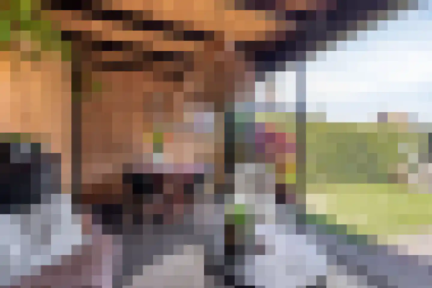 Haverkamplaan 40 Uitgeest thumbnail 42
