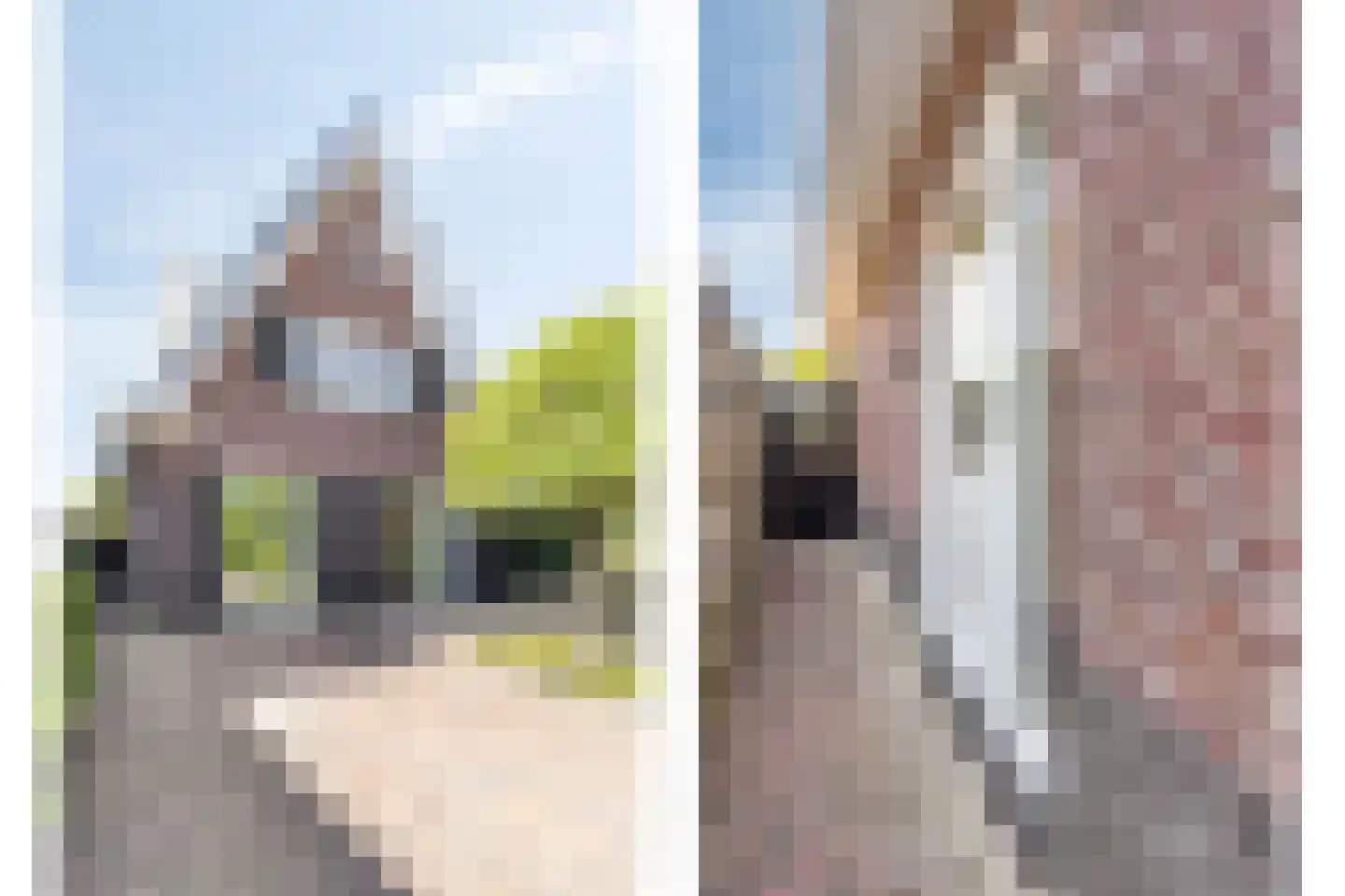 Haverkamplaan 40 Uitgeest thumbnail 45
