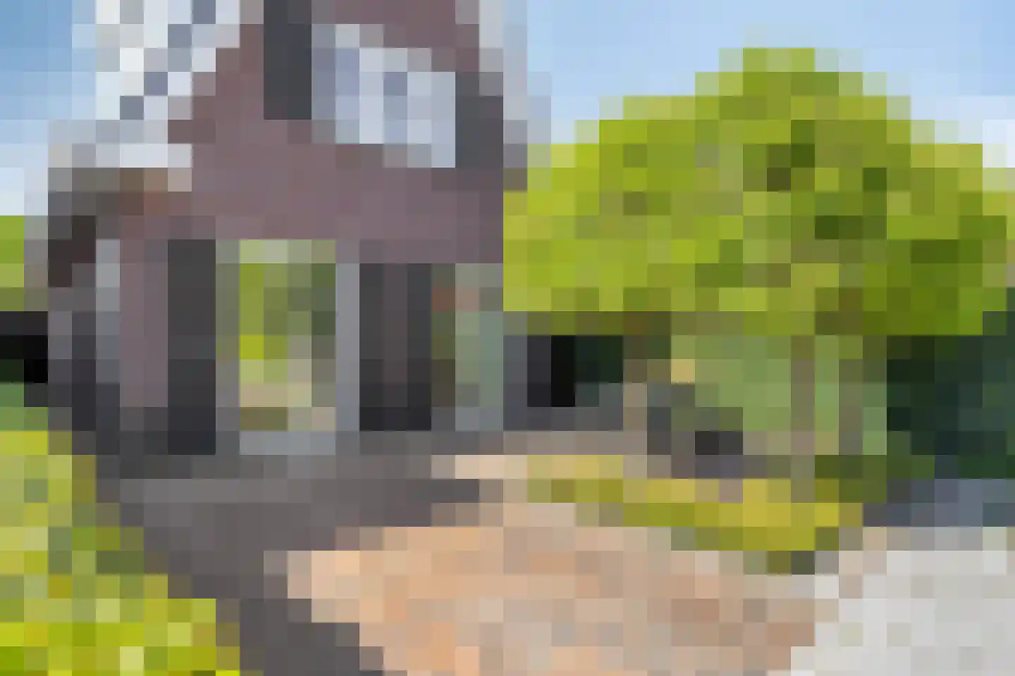 Haverkamplaan 40 Uitgeest thumbnail 46