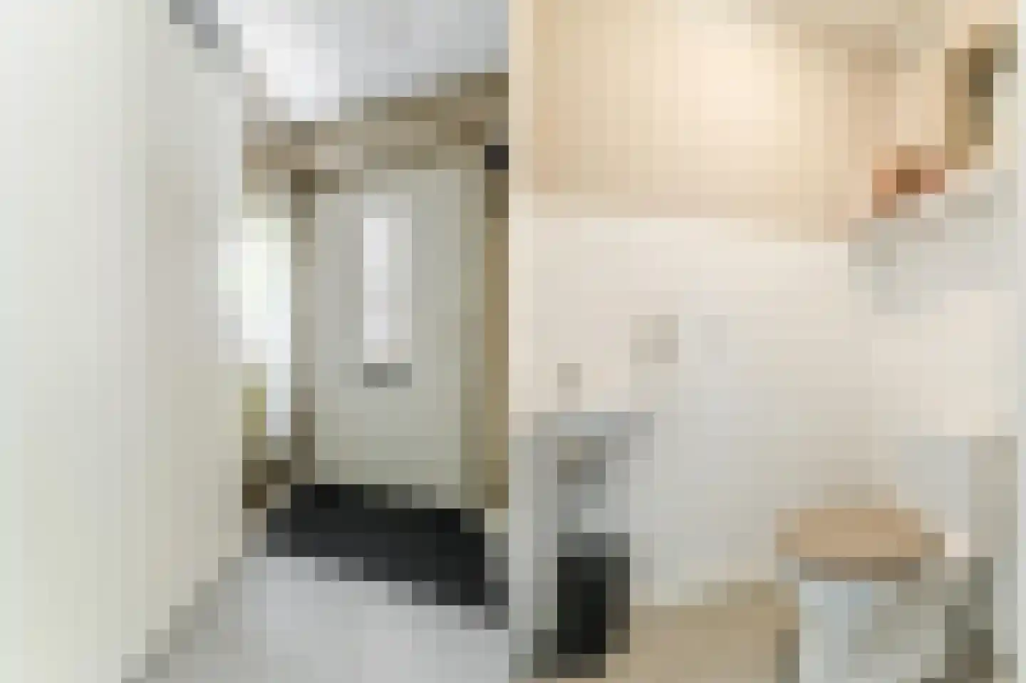 Haverkamplaan 6 Uitgeest thumbnail 13