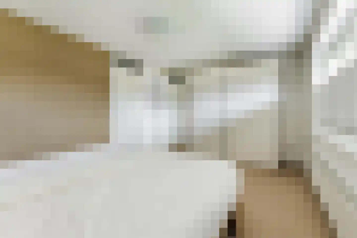 Haverkamplaan 6 Uitgeest thumbnail 15