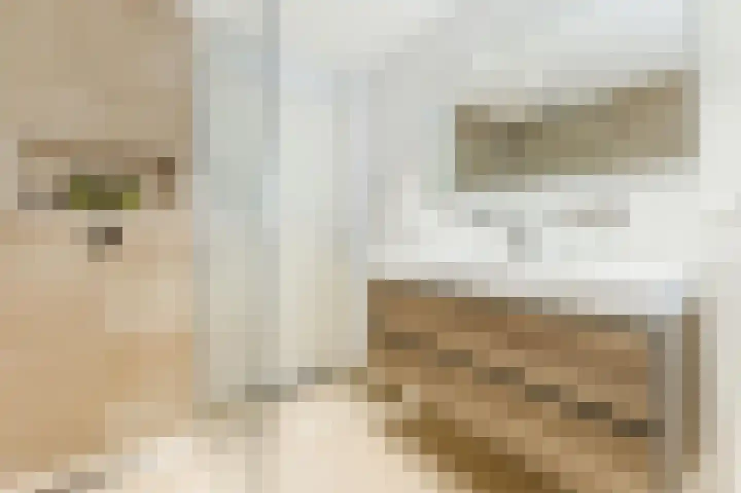Haverkamplaan 6 Uitgeest thumbnail 20