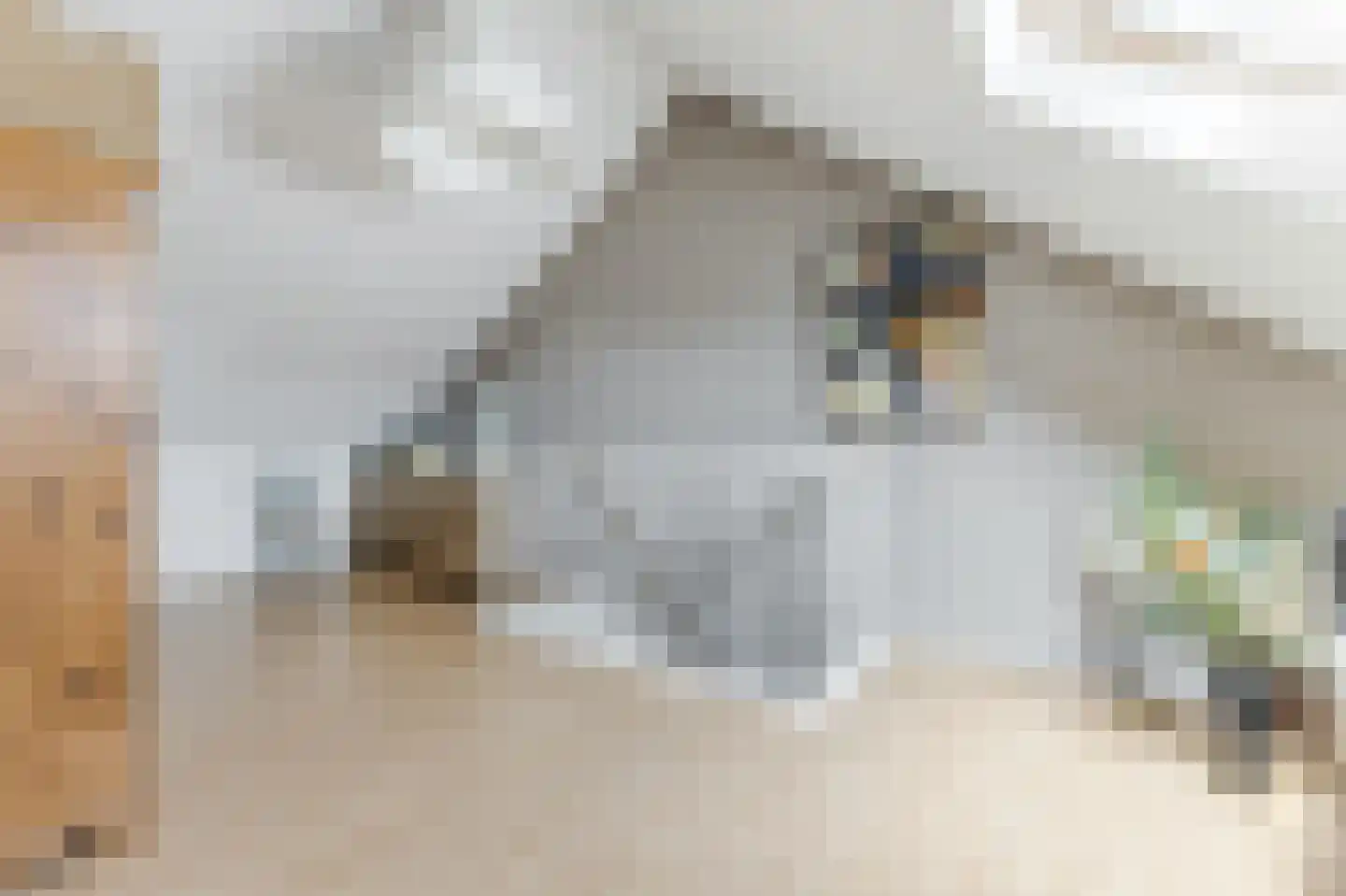 Haverkamplaan 6 Uitgeest thumbnail 24