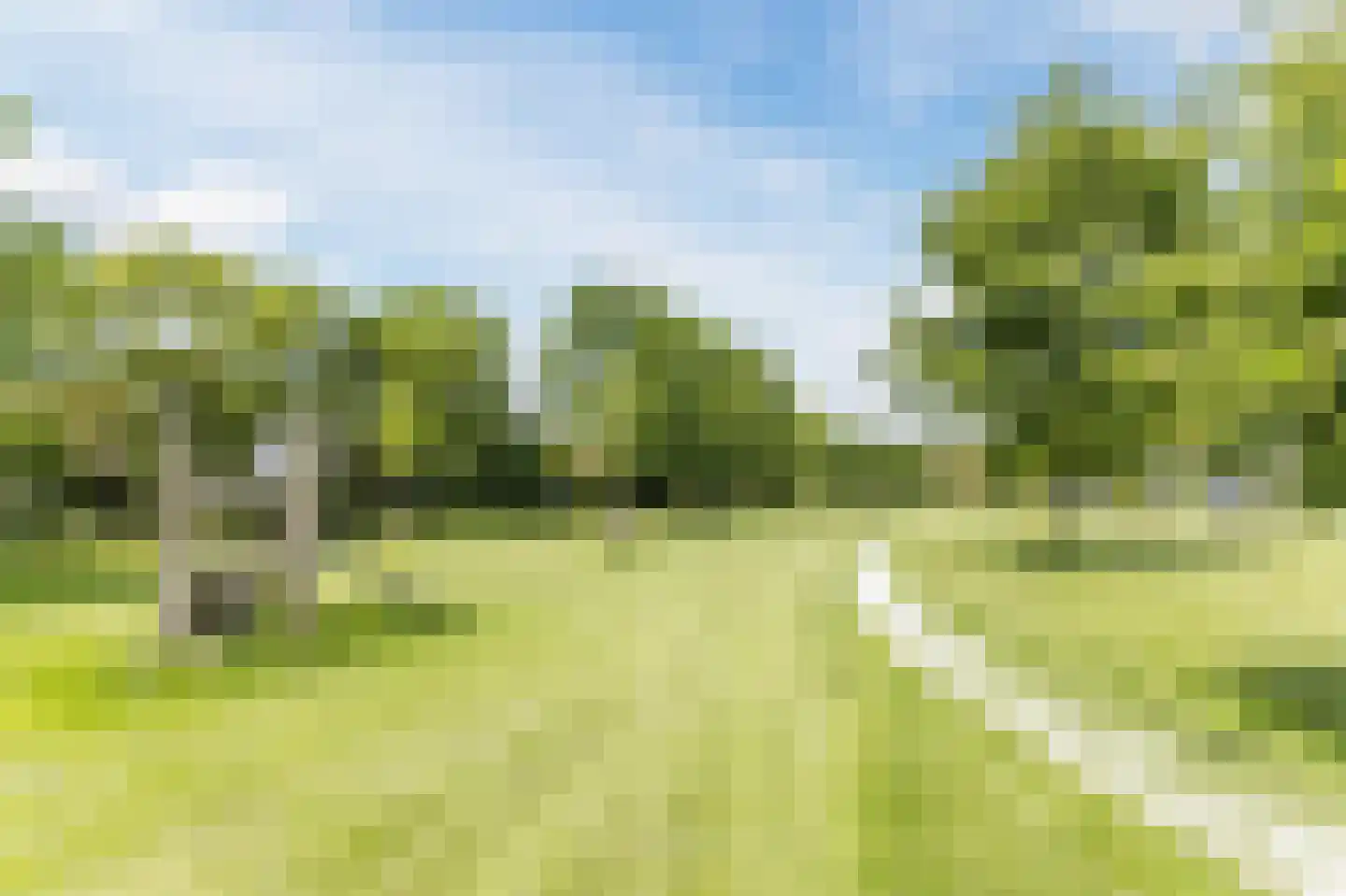 Haverkamplaan 6 Uitgeest thumbnail 35