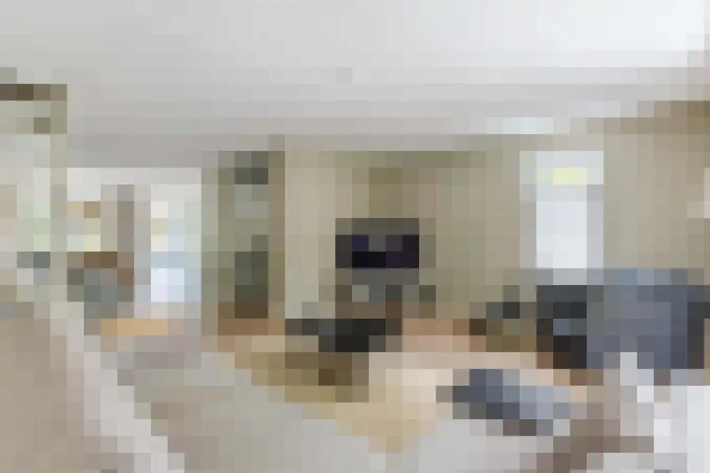 Haverkamplaan 6 Uitgeest thumbnail 5