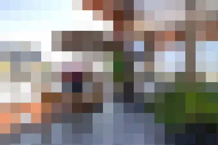 Haverkampsdrift 40 Groningen thumbnail 17