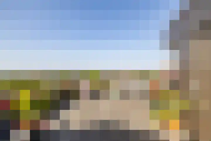Haverkampsdrift 40 Groningen thumbnail 49