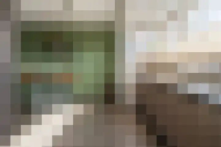 Haverkampsweg 23 Epe thumbnail 10