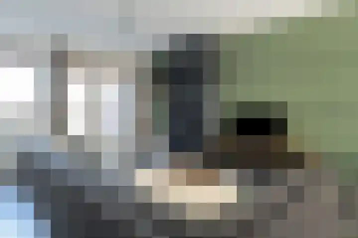 Haverkampsweg 23 Epe thumbnail 13