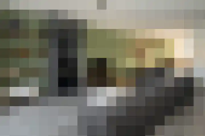 Haverkampsweg 23 Epe thumbnail 14