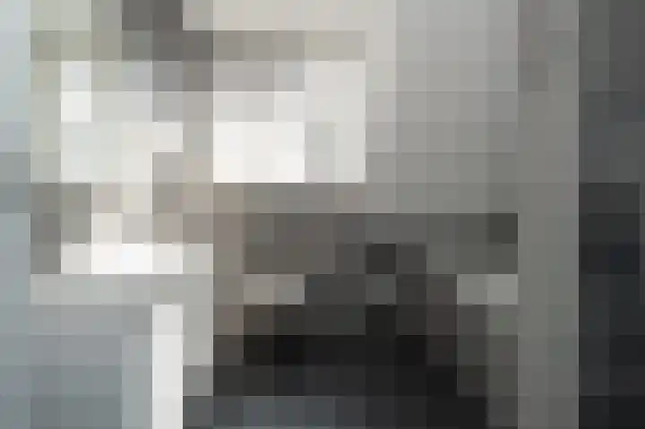 Haverkampsweg 23 Epe thumbnail 20