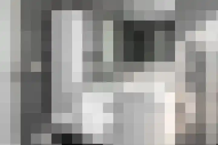 Haverkampsweg 23 Epe thumbnail 22