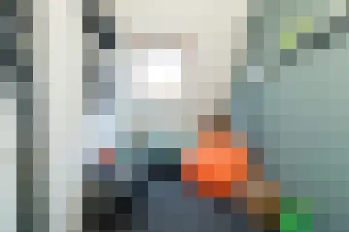 Haverkampsweg 23 Epe thumbnail 27