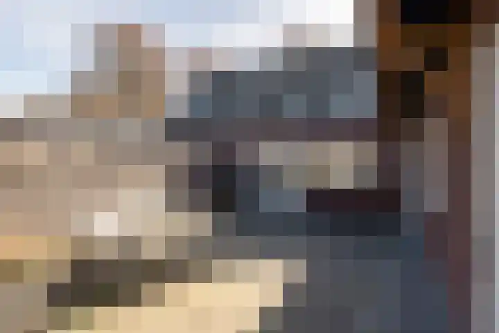 Haverkampsweg 23 Epe thumbnail 31