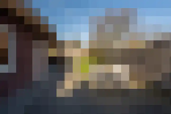 Haverkampsweg 23 Epe thumbnail 33