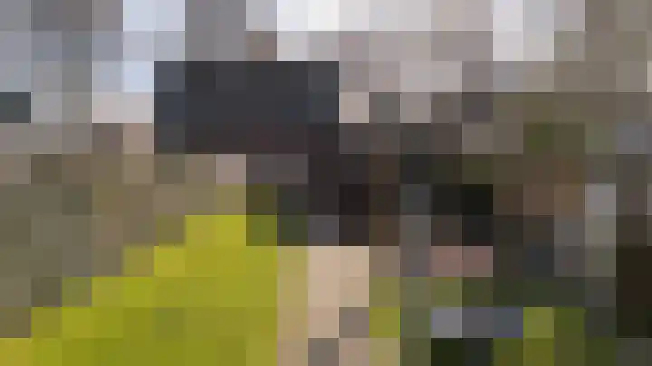 Haverkampsweg 23 Epe thumbnail 34