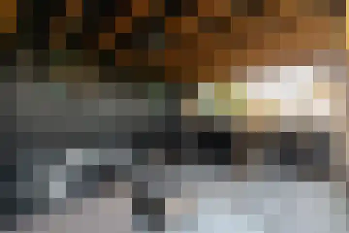 Haverkampsweg 23 Epe thumbnail 37